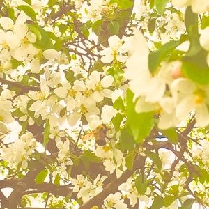 Meet your Posher, Brooklynn